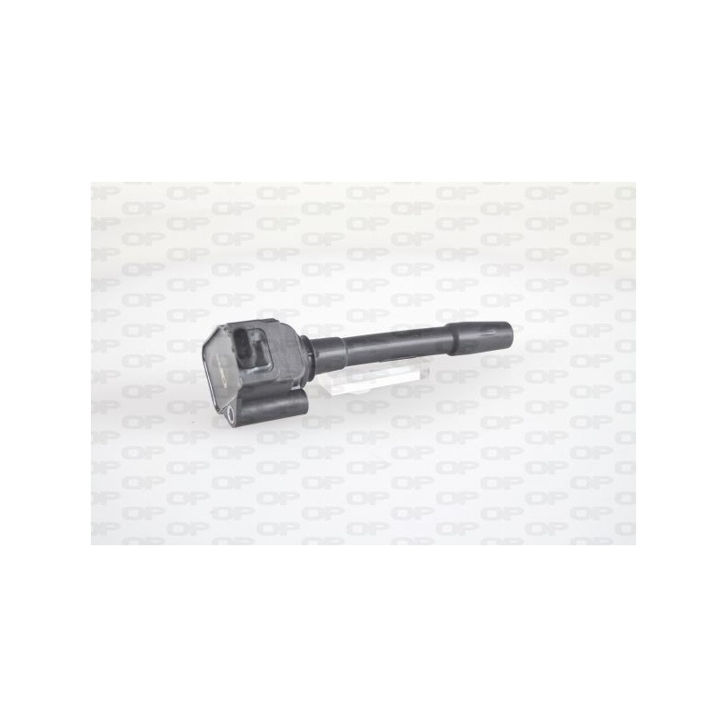 Bobina Accensione IGN1097.00