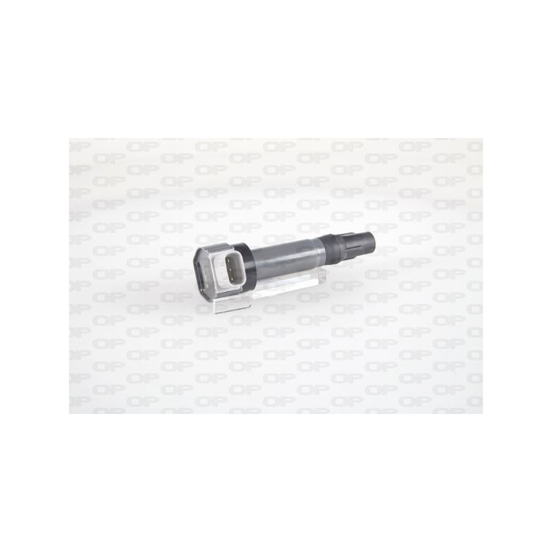 Bobina Accensione IGN1099.00