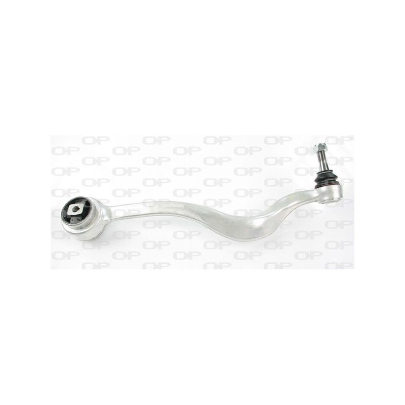 Braccio Oscillante SSW1110.01