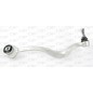 Braccio Oscillante SSW1110.01