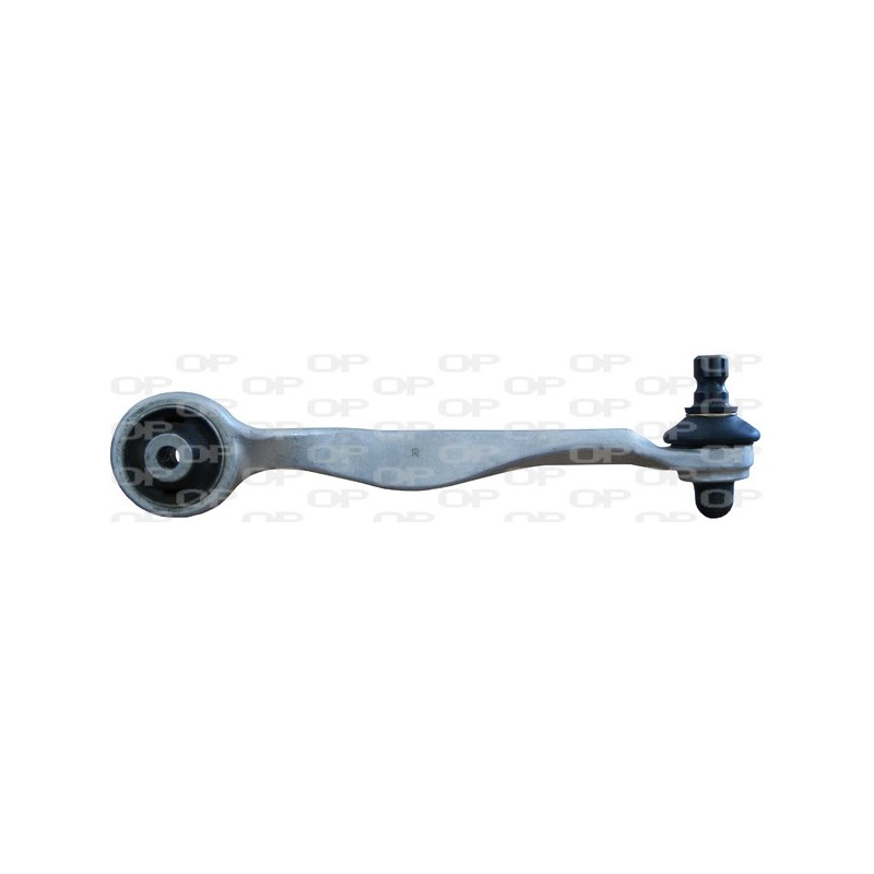 Braccio Oscillante SSW1131.01