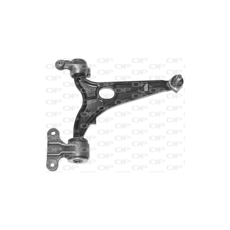 Braccio Oscillante SSW1189.01