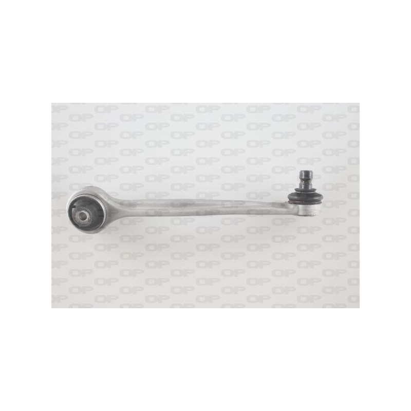 Braccio Oscillante SSW1399.01