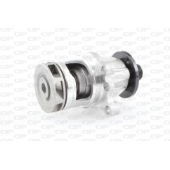 Pompa Acqua WAP8121.00 - 80-WAP8121.00 - 80-WAP8121.00