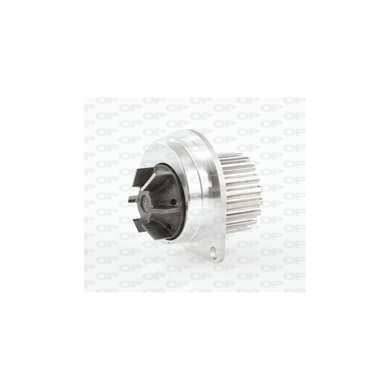 Pompa Acqua WAP8138.00