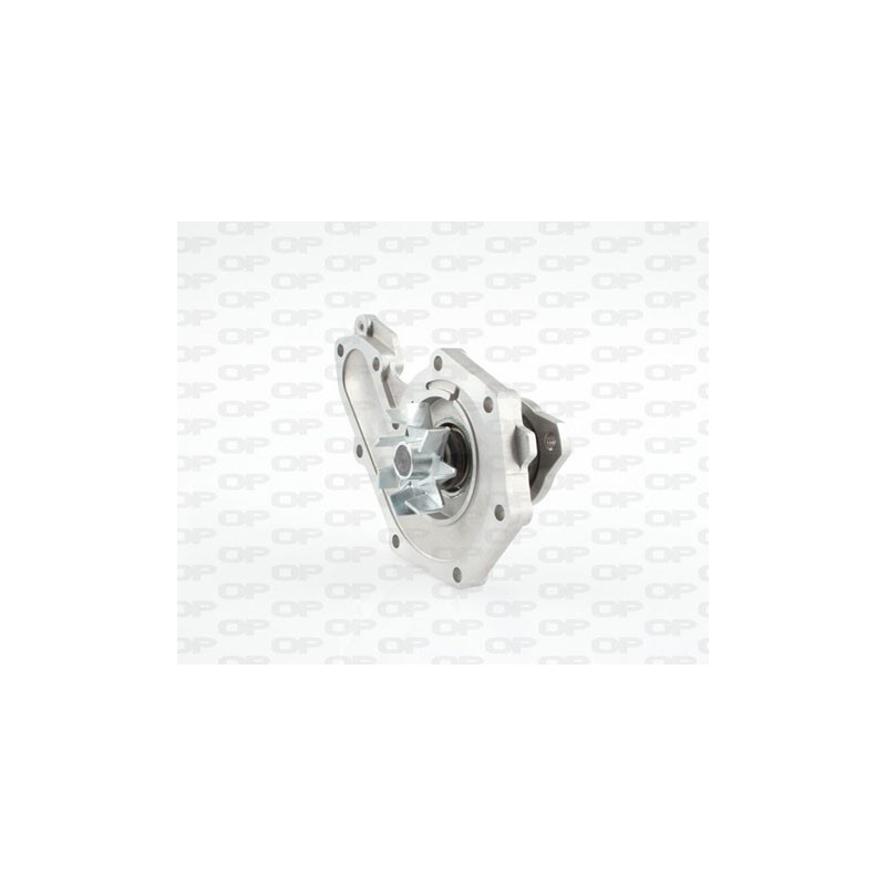 Pompa Acqua WAP8162.00