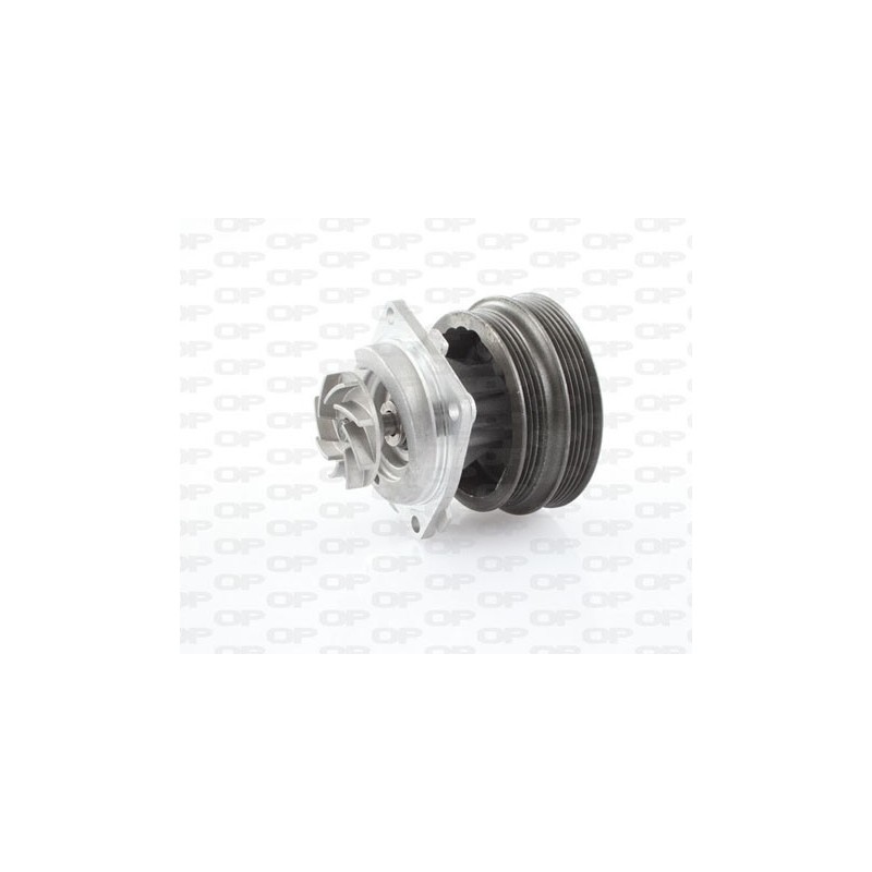 Pompa Acqua WAP8217.00