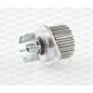 Pompa Acqua WAP8225.00