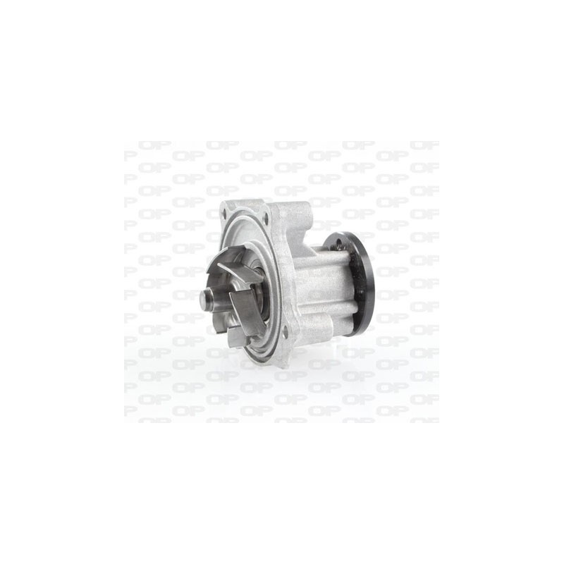 Pompa Acqua WAP8313.00