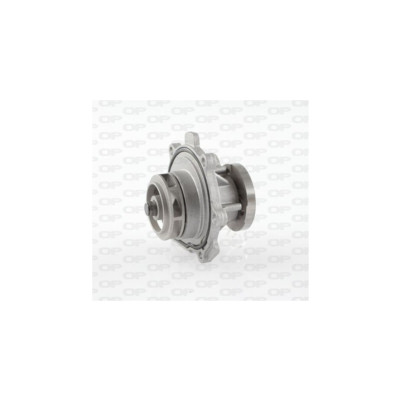 Pompa Acqua WAP8479.00