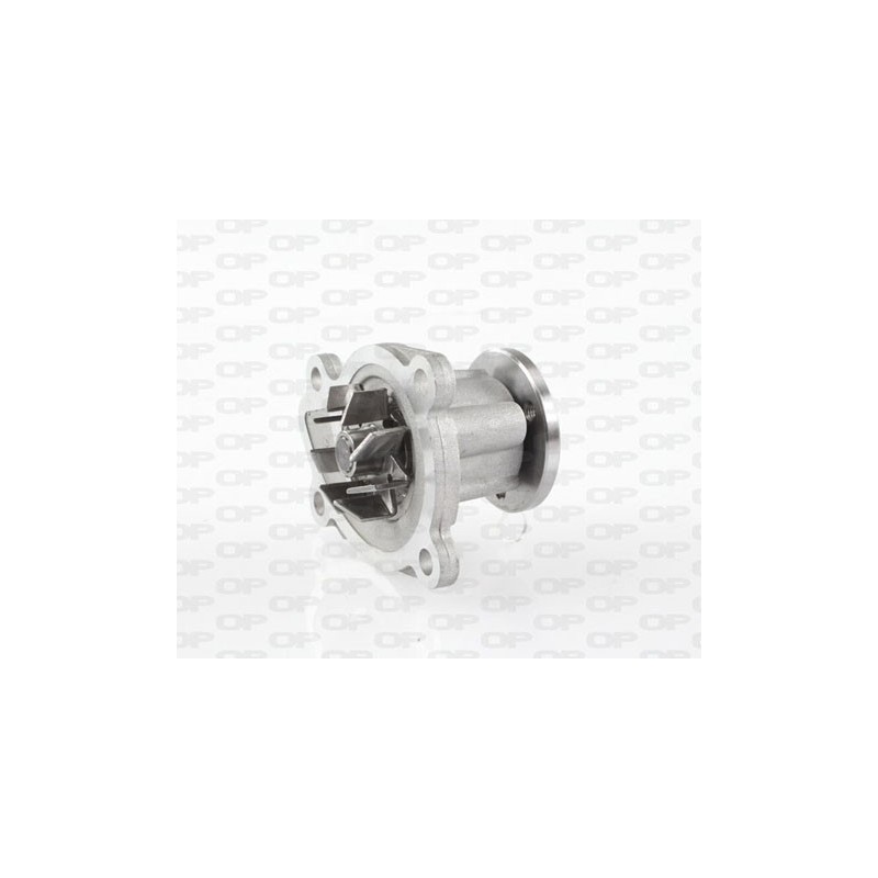 Pompa Acqua WAP8489.00