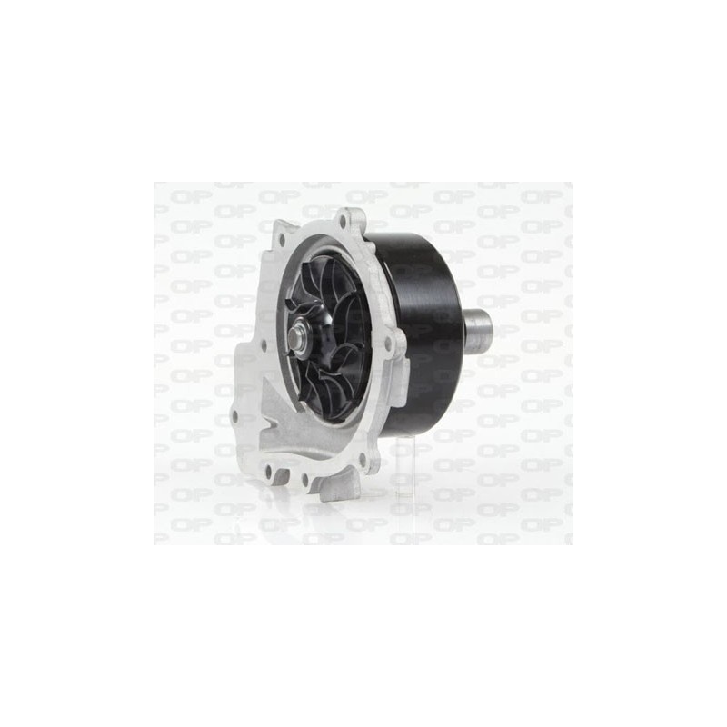 Pompa Acqua WAP8572.00