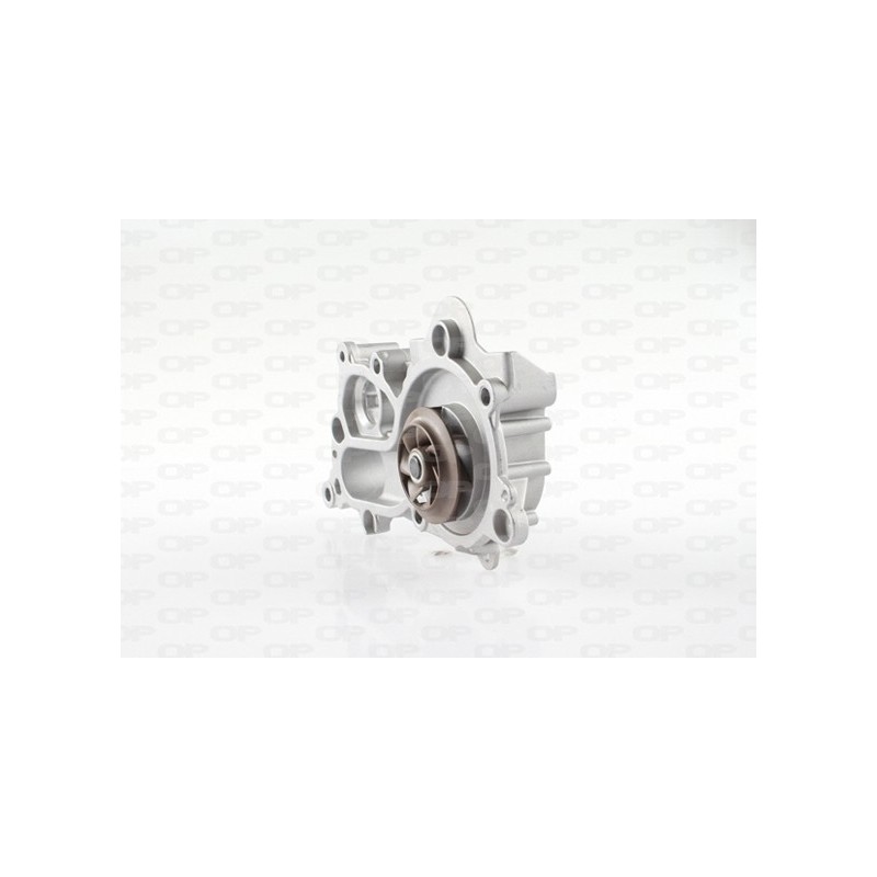 Pompa Acqua WAP8575.00