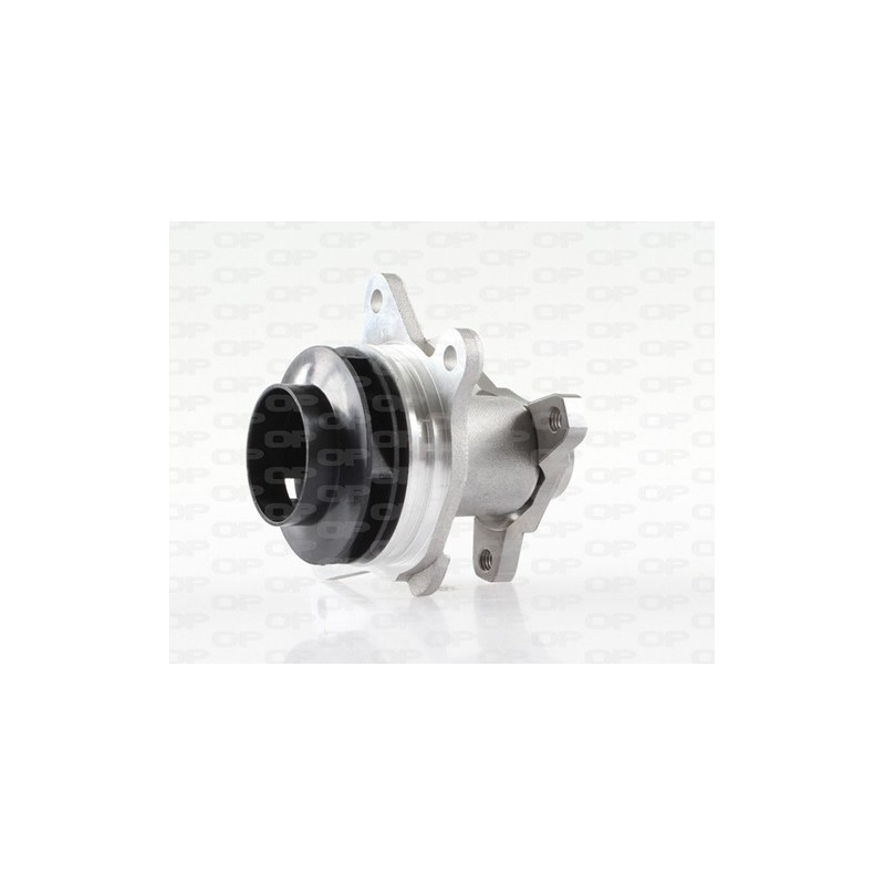 Pompa Acqua WAP8581.00