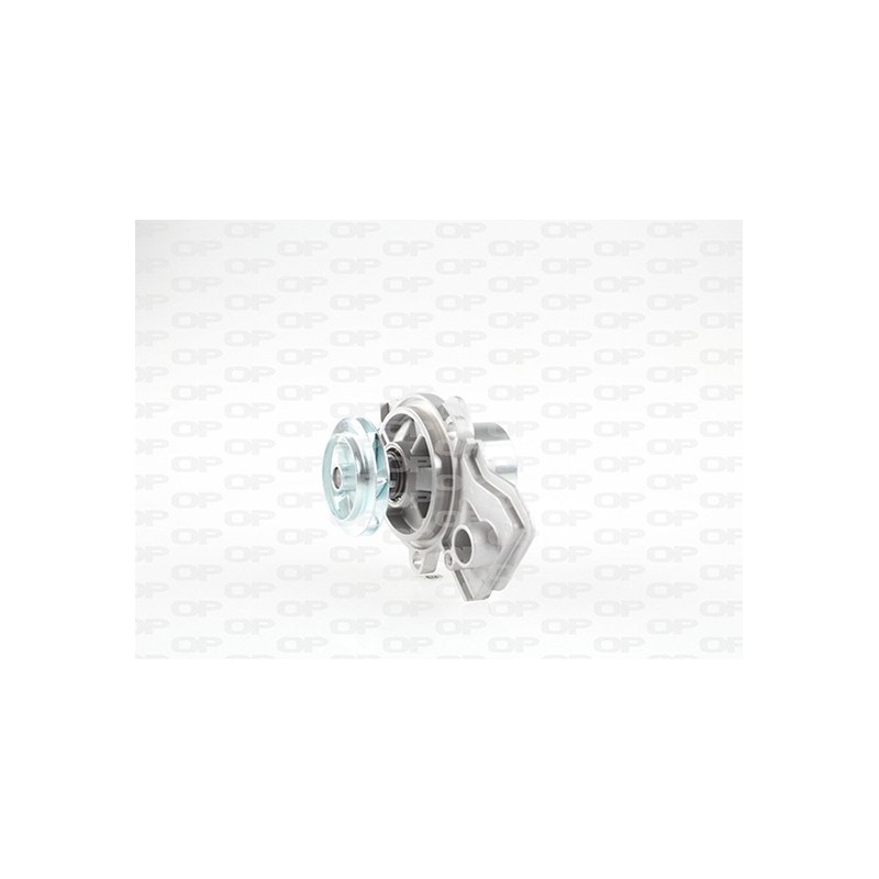 Pompa Acqua WAP8621.00
