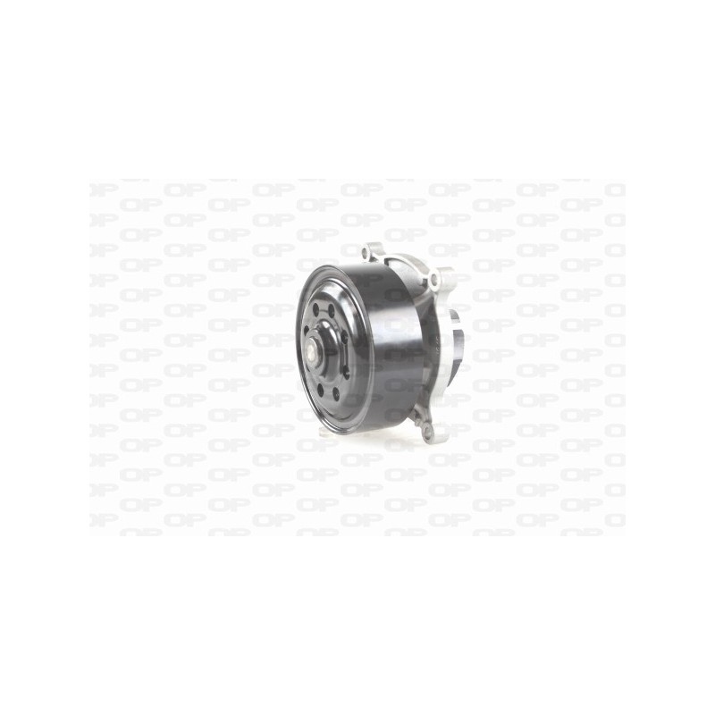 Pompa Acqua WAP8624.00