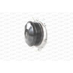 Pompa Acqua WAP8625.00 - 80-WAP8625.00 - 80-WAP8625.00