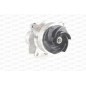 Pompa Acqua WAP8629.00