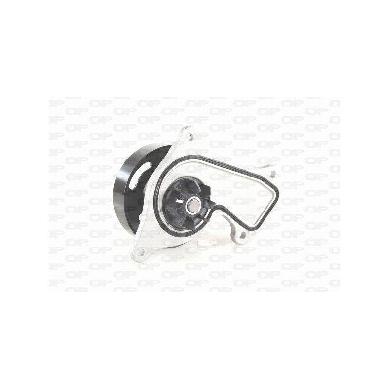 Pompa Acqua WAP8631.00