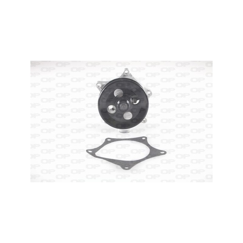 Pompa Acqua WAP8651.00