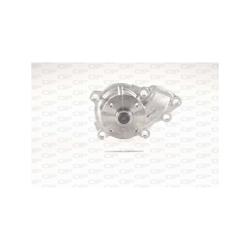 Pompa Acqua WAP8653.00