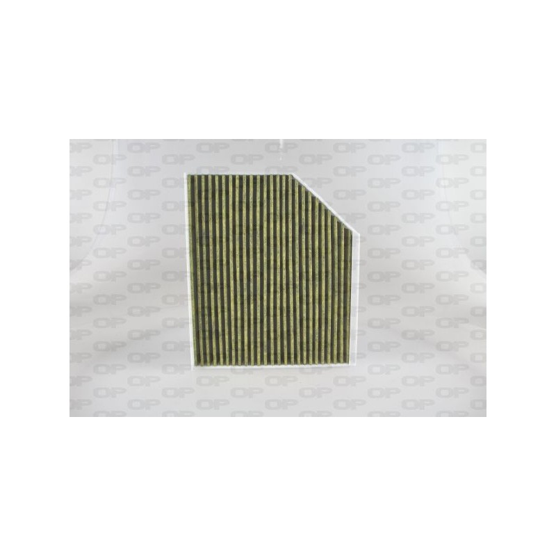 Filtro Abitacolo CAF2201.31
