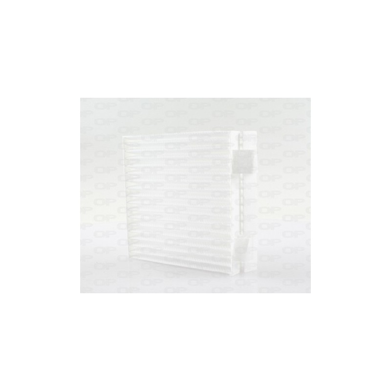 Filtro Abitacolo CAF2255.02