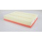 Filtro Aria EAF3111.10