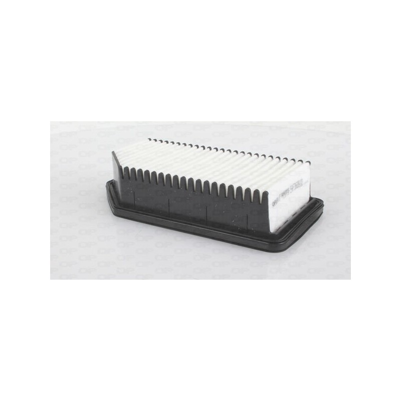 Filtro Aria EAF3609.10