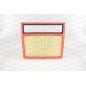 Filtro Aria EAF3807.10