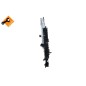 Radiatore Opel 53475