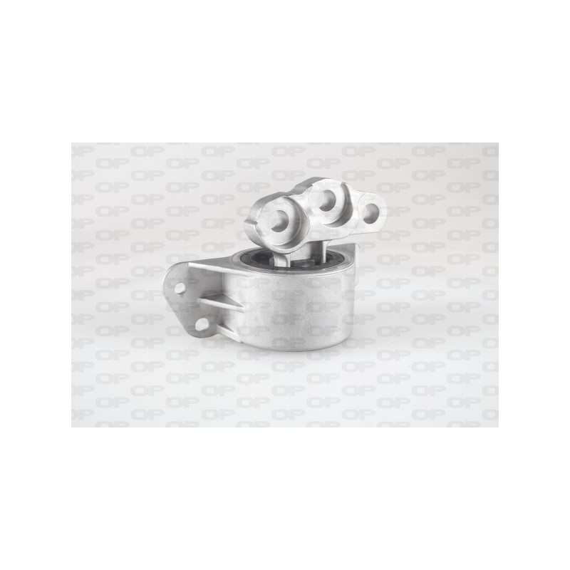 Supporto Motore EMS4013.00