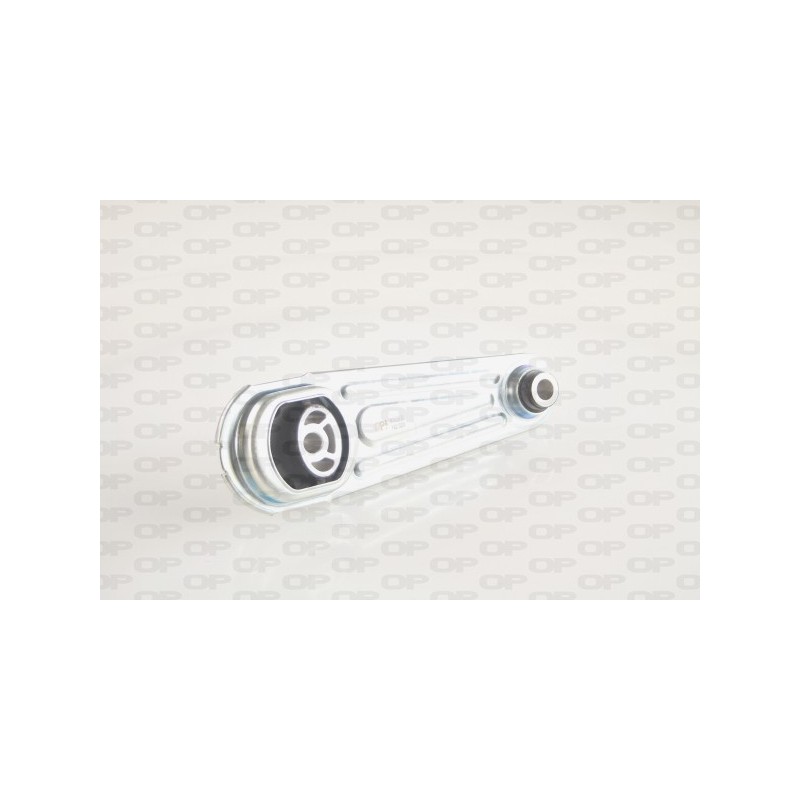 Supporto Motore EMS4209.00