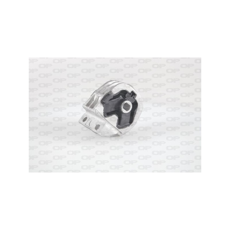 Supporto Motore EMS4266.00
