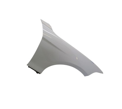 Parafango Anteriore Destro BMW Serie 1 F20 dal 11 al 19 - 41007284646 - 3728418