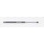 Molla A Gas Portellone posteriore destro/Sinistro per Volkswagen Touran GSR6111.00