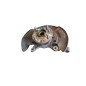 Montante sospensione ANT DX TOYOTA Yaris Serie dal 11 al 13