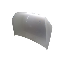 Cofano Anteriore VOLKSWAGEN Polo 5° Serie