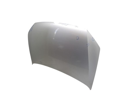Cofano Anteriore VOLKSWAGEN Polo 5° Serie
