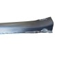 Minigonna Lato Sinistra SMART Fortwo Coupé W451