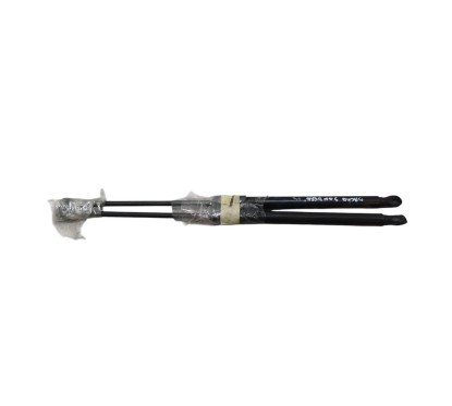 Pistoncini cofano Post. DACIA Sandero Serie dal 21 - 904529961R - 3774920