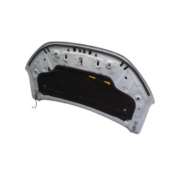 Cofano Anteriore DACIA Sandero Serie dal 21 - 651004113R - 3778306