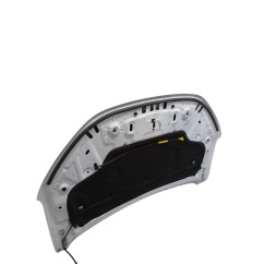 Cofano Anteriore DACIA Sandero Serie dal 21 - 651004113R - 3778306