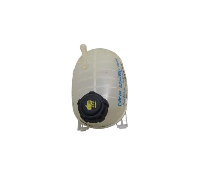 Vaschetta liquido radiatore DACIA Sandero Stepway Serie dal 21