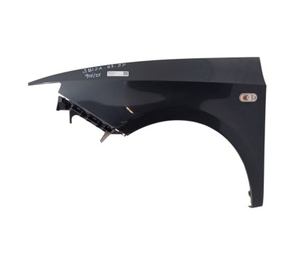 Parafango Anteriore Sinistro SEAT Ibiza Serie dal 08 al 12 - 6J0821021D - 2658888