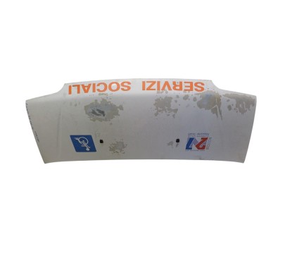 Cofano Anteriore FIAT Ducato 4° Serie - 3784523 - 3784523