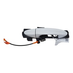 Maniglia esterna Posteriore Sinistra FORD EcoSport Serie dal 12 - 1788863 - 2825334