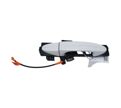 Maniglia esterna Posteriore Sinistra FORD EcoSport Serie dal 12 - 1788863 - 2825334