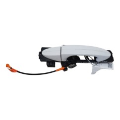 Maniglia esterna Posteriore Sinistra FORD EcoSport Serie dal 12 - 1788863 - 2825334