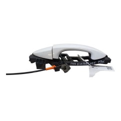 Maniglia esterna Posteriore Sinistra FORD EcoSport Serie dal 12 - 1788863 - 2825334
